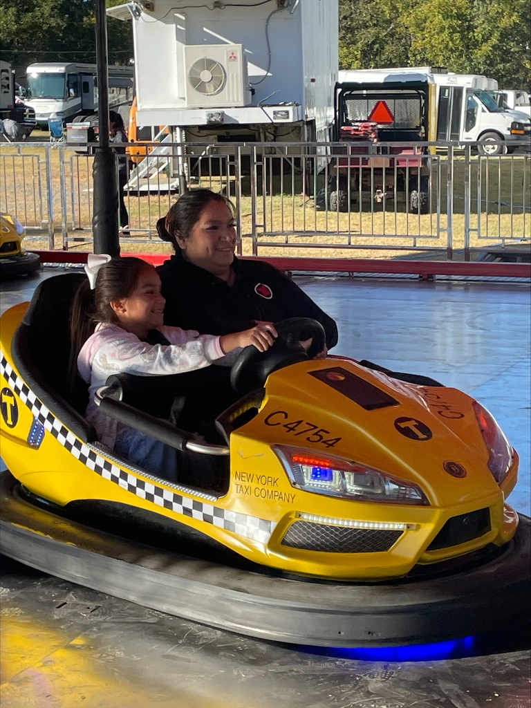 students at fair