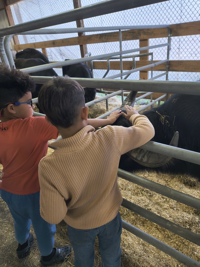 students at fair