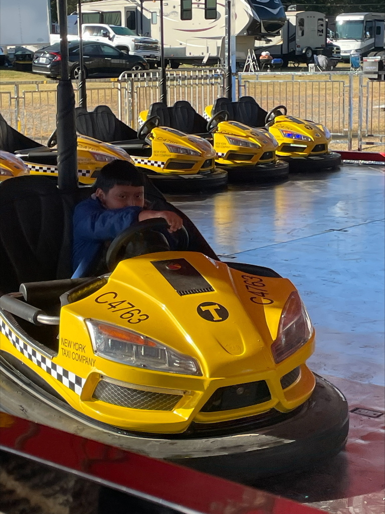 students at fair