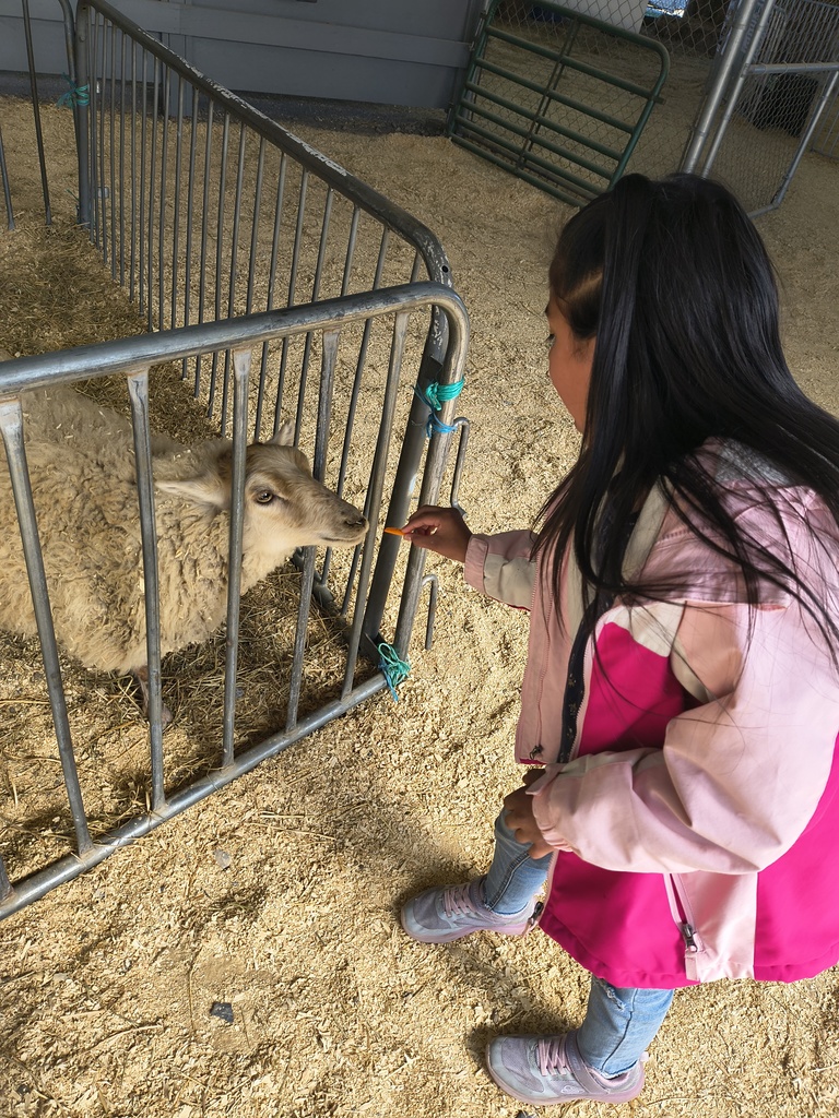 students at fair