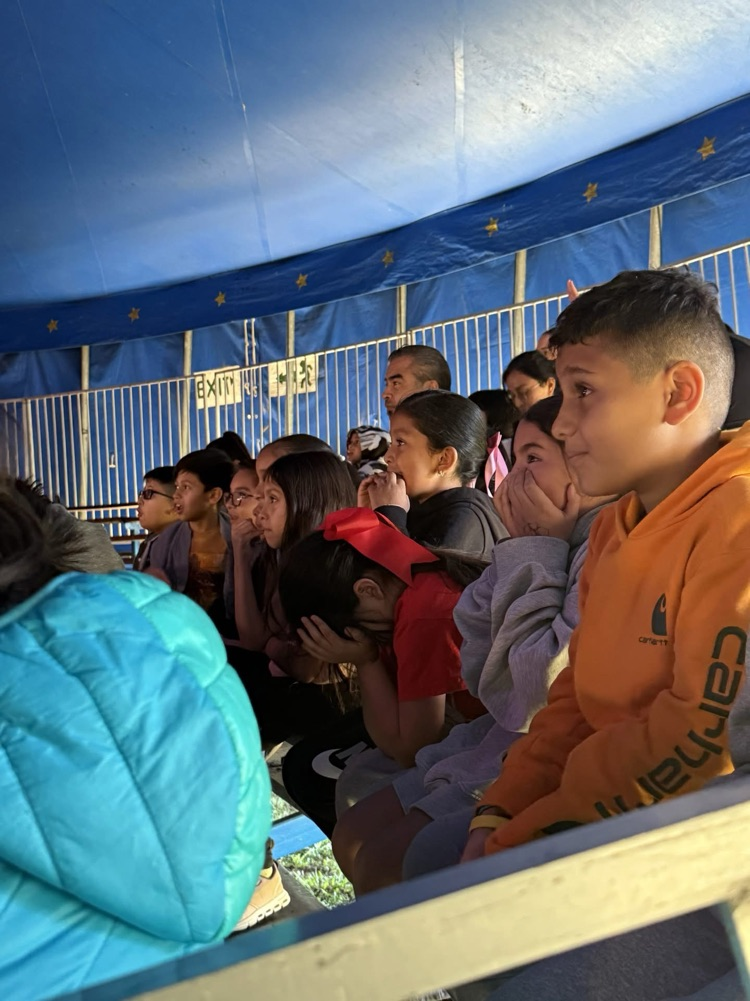 Fair field trip 2025
