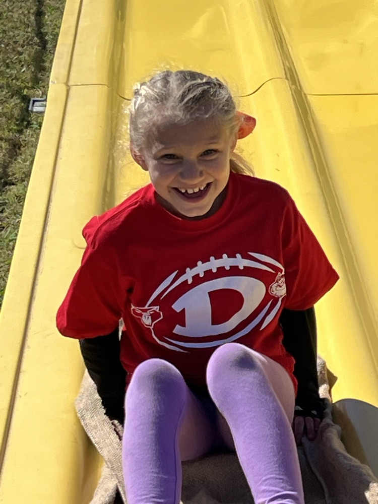 Student going down the slide 
