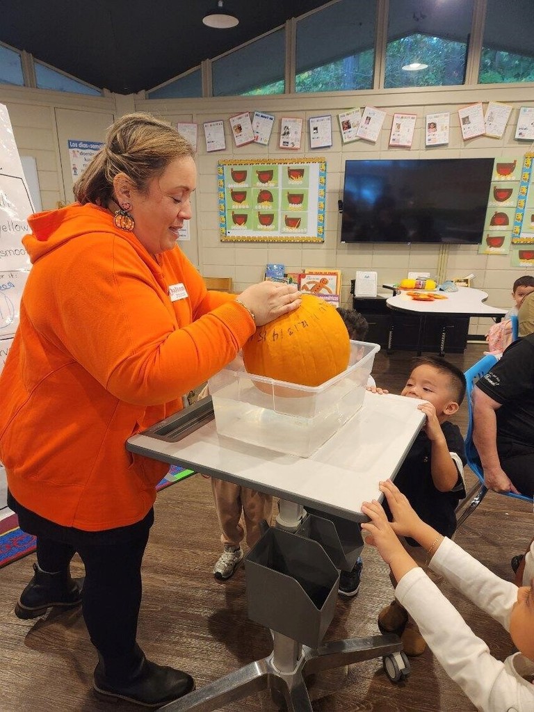Our Little Cats are exploring the wonders of fall! 🍂  This week, they learned how pumpkins grow from tiny seeds by reading From Seed to Pumpkin and creating their own life cycle diagrams. In small-group STEM activities, students became pumpkin investigators, observing size, color, and shape, predicting which pumpkins would float or sink, and examining the inside of a real pumpkin!  To tie in math, they measured how tall each child was using pumpkin cutouts, discovering how many “pumpkins tall” they are! Our Little Cats loved learning through these fun, hands-on fall activities. 