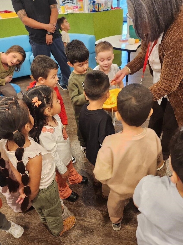 Our Little Cats are exploring the wonders of fall! 🍂  This week, they learned how pumpkins grow from tiny seeds by reading From Seed to Pumpkin and creating their own life cycle diagrams. In small-group STEM activities, students became pumpkin investigators, observing size, color, and shape, predicting which pumpkins would float or sink, and examining the inside of a real pumpkin!  To tie in math, they measured how tall each child was using pumpkin cutouts, discovering how many “pumpkins tall” they are! Our Little Cats loved learning through these fun, hands-on fall activities. 