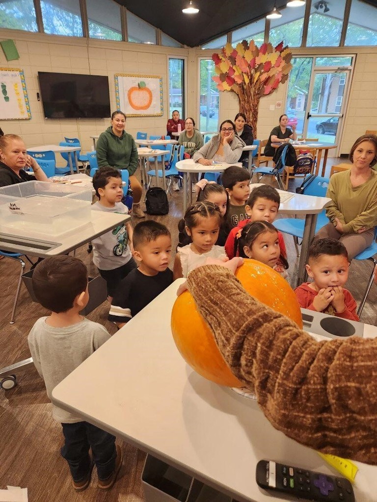 Our Little Cats are exploring the wonders of fall! 🍂  This week, they learned how pumpkins grow from tiny seeds by reading From Seed to Pumpkin and creating their own life cycle diagrams. In small-group STEM activities, students became pumpkin investigators, observing size, color, and shape, predicting which pumpkins would float or sink, and examining the inside of a real pumpkin!  To tie in math, they measured how tall each child was using pumpkin cutouts, discovering how many “pumpkins tall” they are! Our Little Cats loved learning through these fun, hands-on fall activities. 