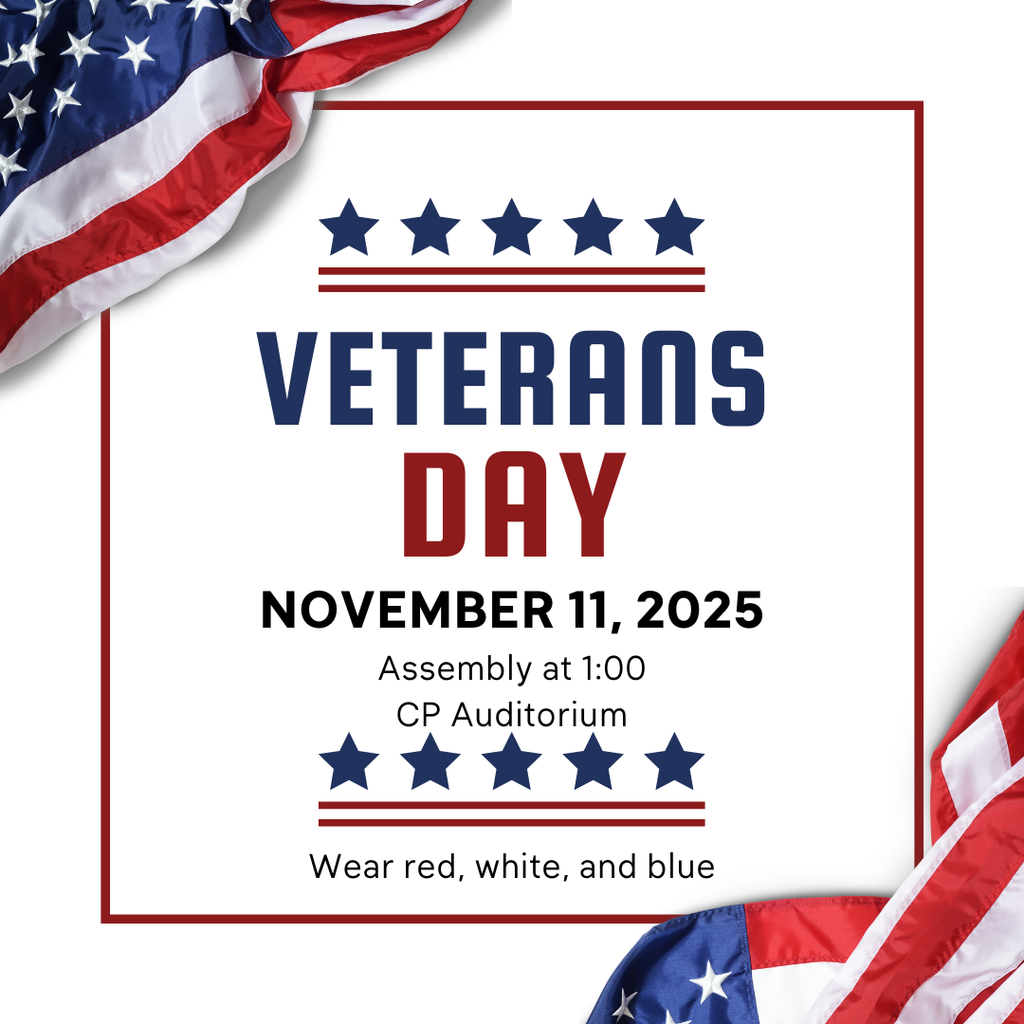 veterans day graphic
