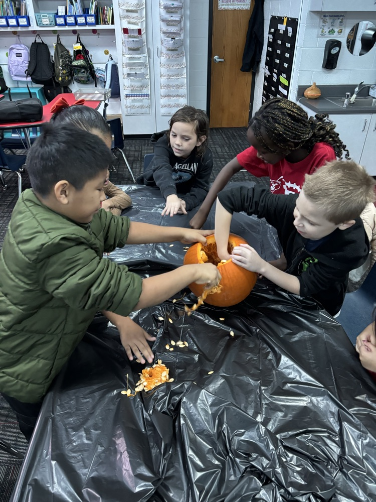 Students getting the seeds out of the pumpkin 