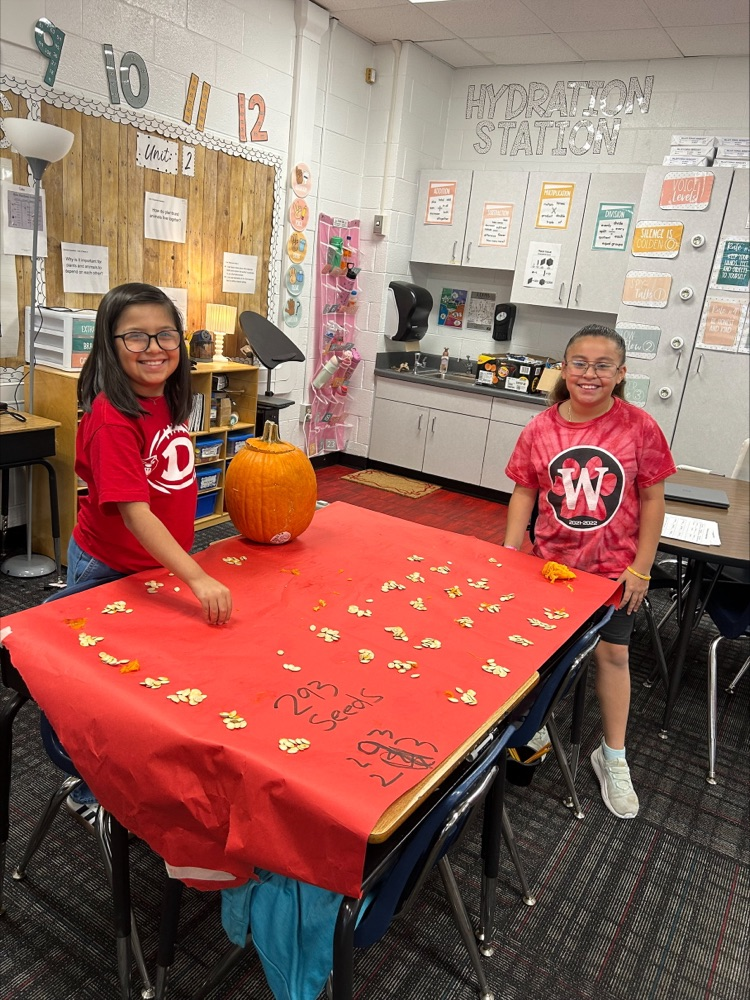 Students showing how the divide the pumpkin seeds in groups 