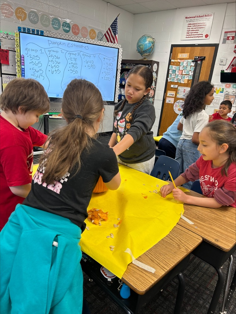 Students working together 