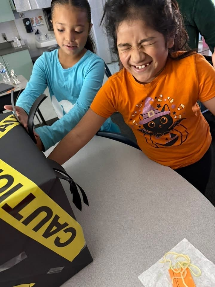 mystery box 3rd grade