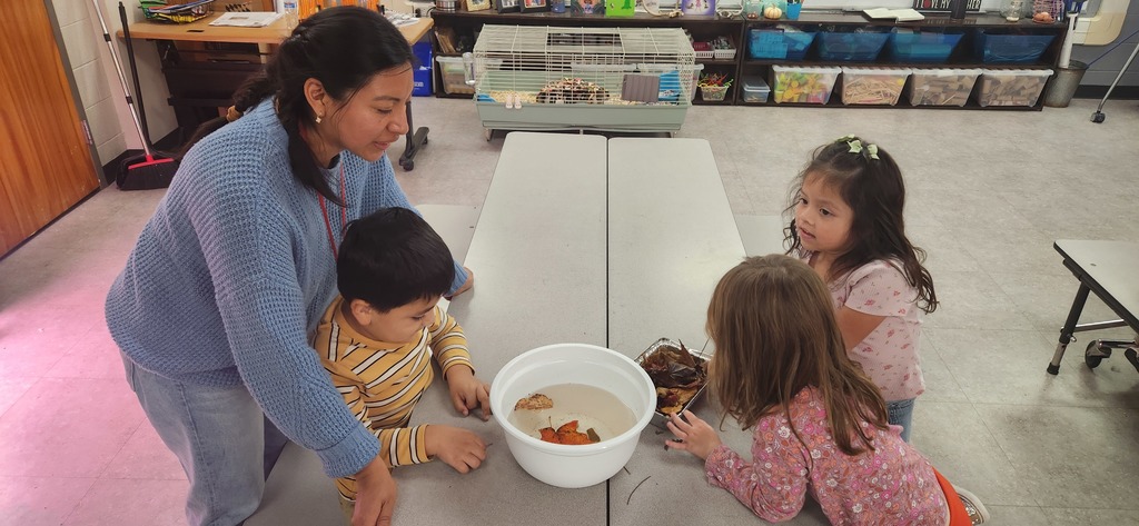 Our Pre-K STEM Scouts have been enjoying some STEM discovery stations this week! 