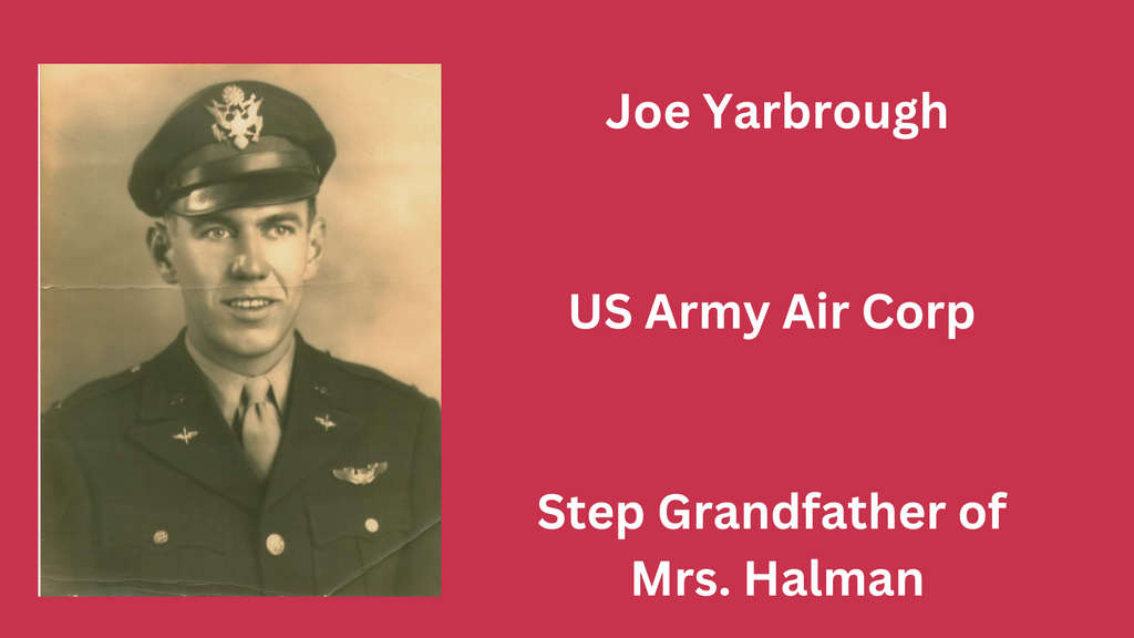 Veterans Day photo and graphic