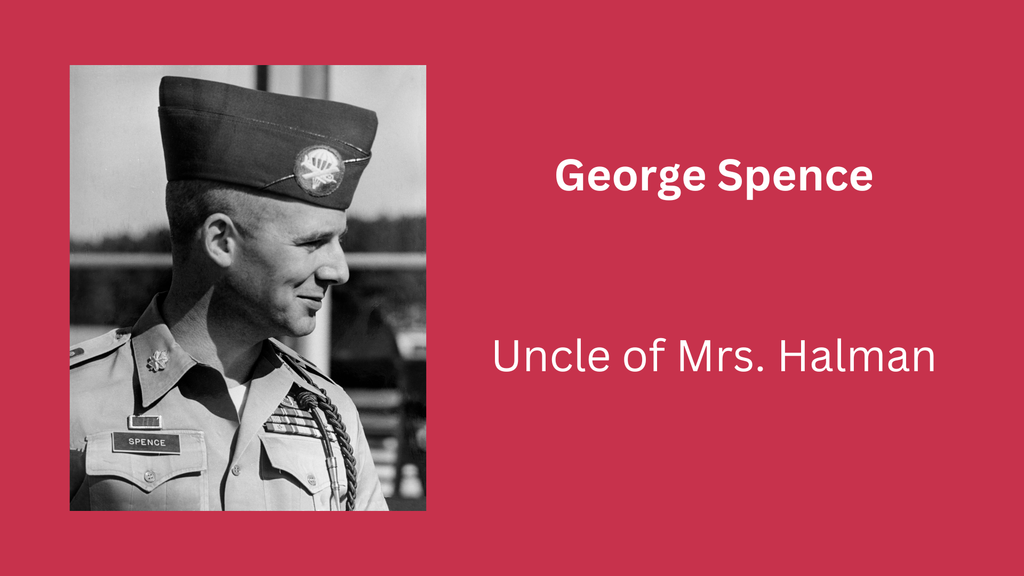 Veterans Day photo and graphic