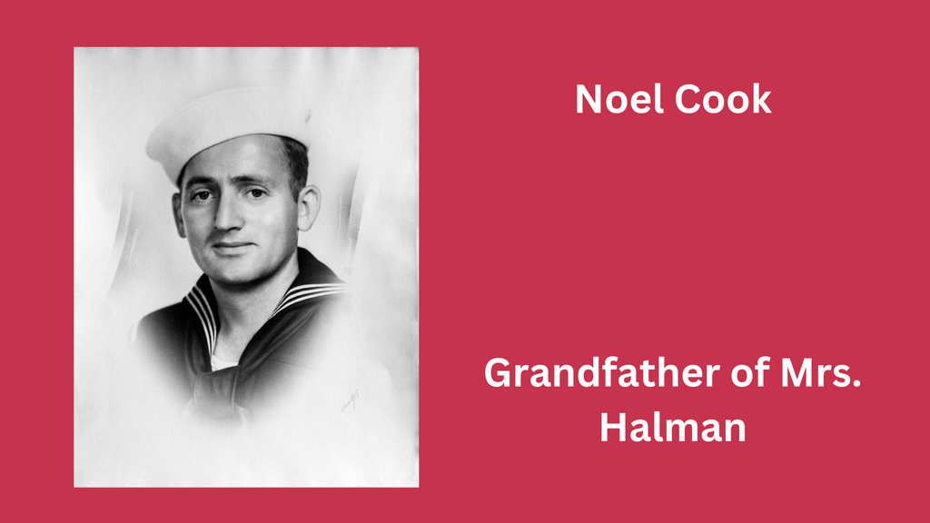 Veterans Day photo and graphic