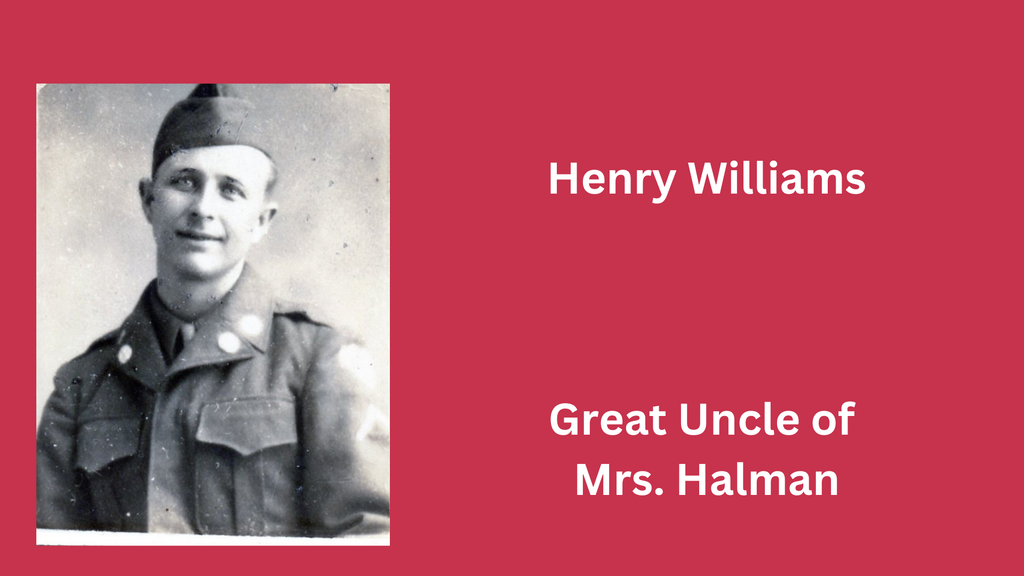 Veterans Day photo and graphic