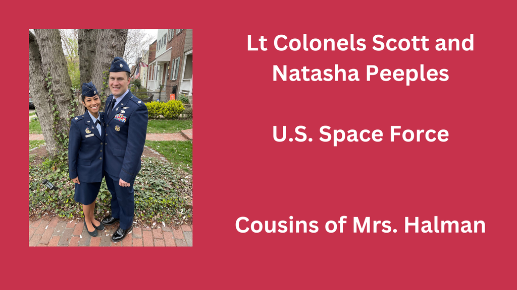 Veterans Day photo and graphic