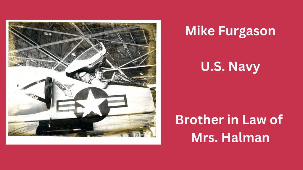 Veterans Day photo and graphic