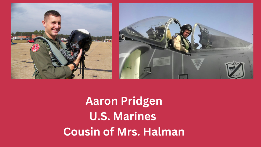 Veterans Day photo and graphic