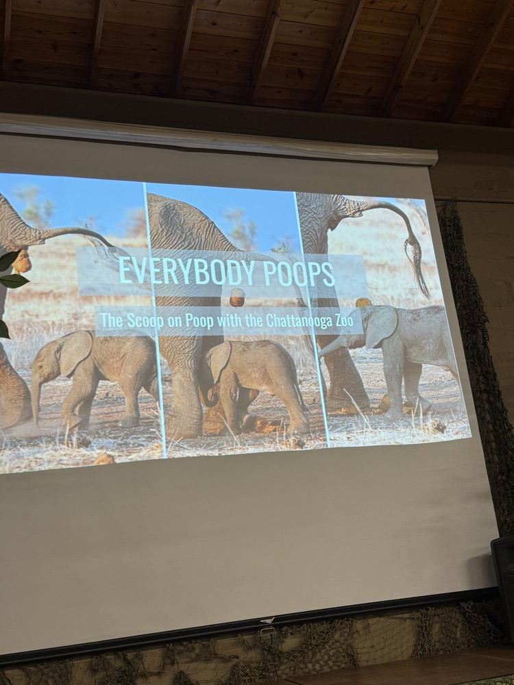 students on field trip