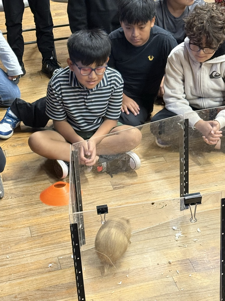 students on field trip