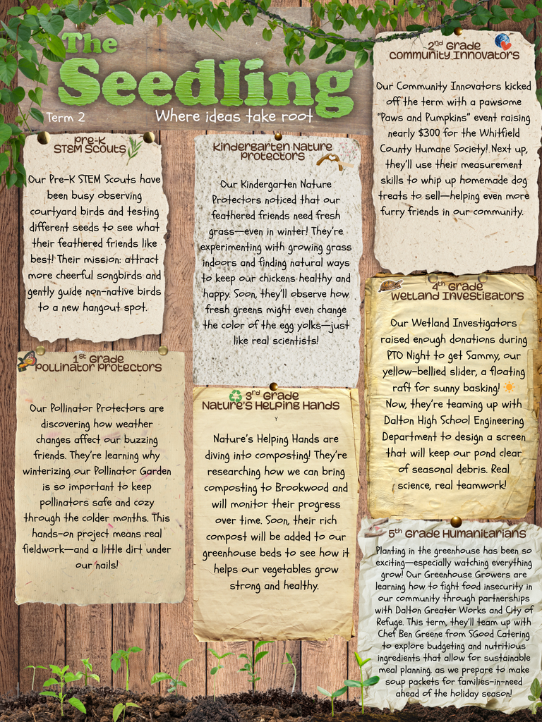 Term 2 STEM Newsletter