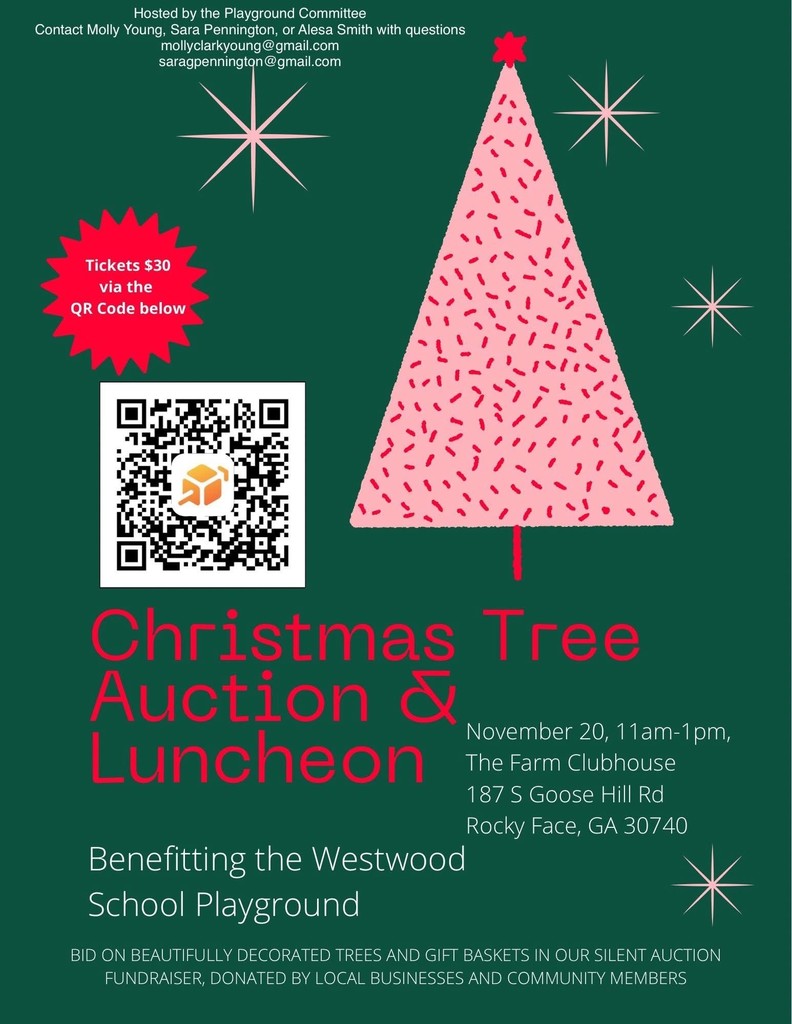 Westwood PTO Playground Fundraiser Flyer