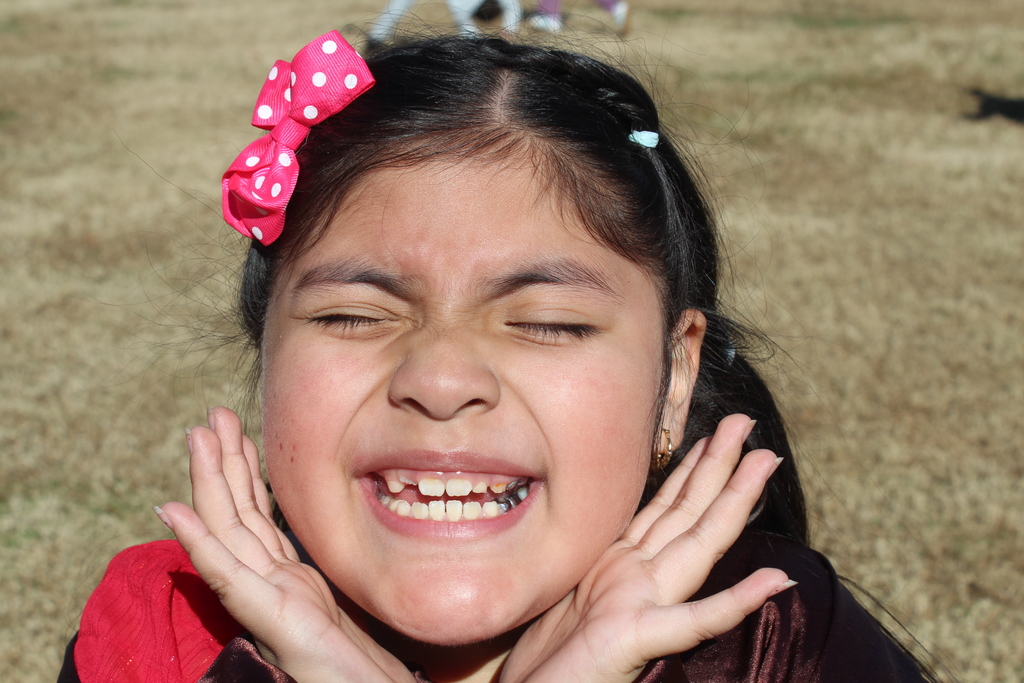 Thanksgiving lunch photo 