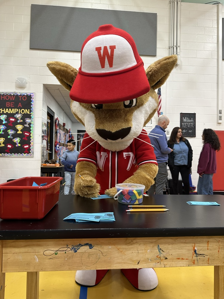 Westie making an estimation