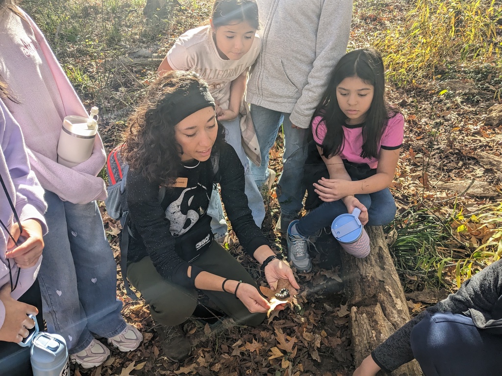 5th grade Reflection Riding
