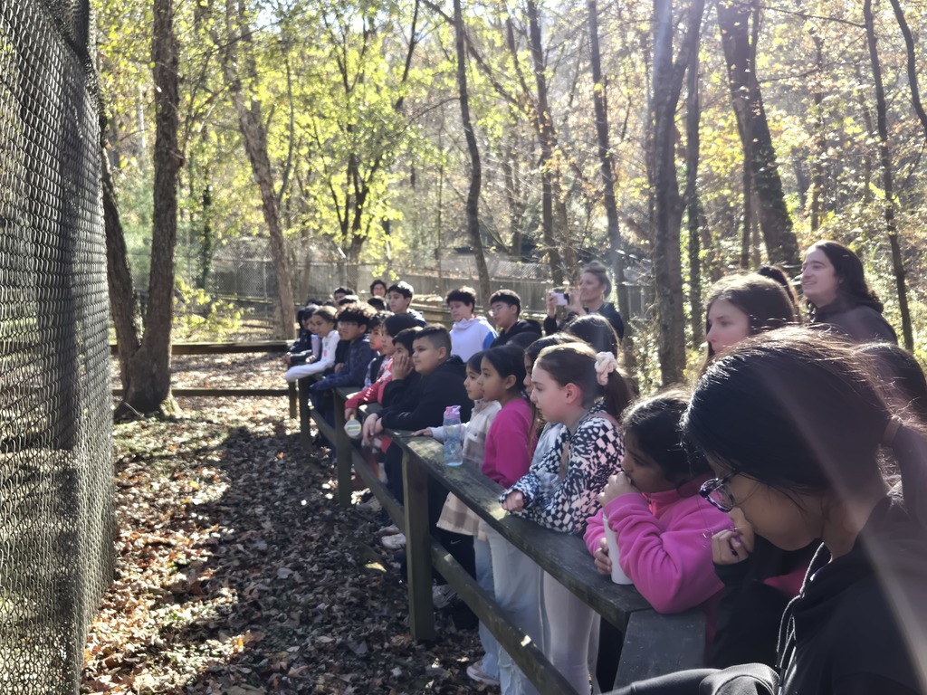 5th grade Reflection Riding