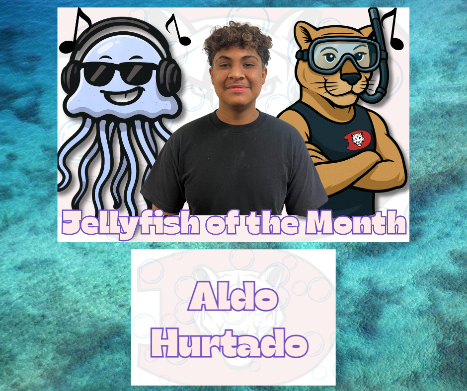 Jellyfish of the Month Aldo Hurtado