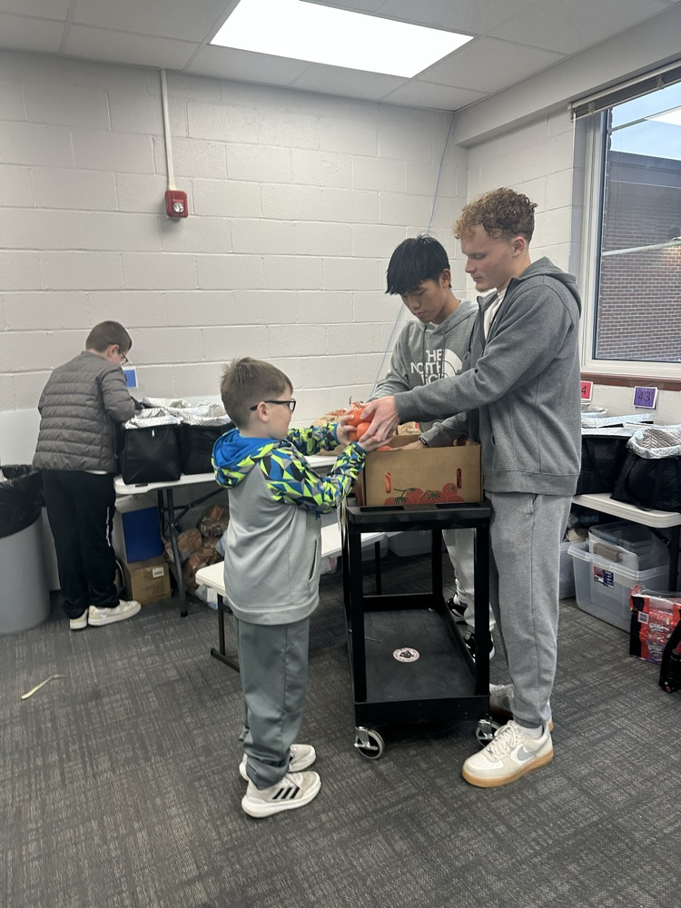 helping hands ambassadors