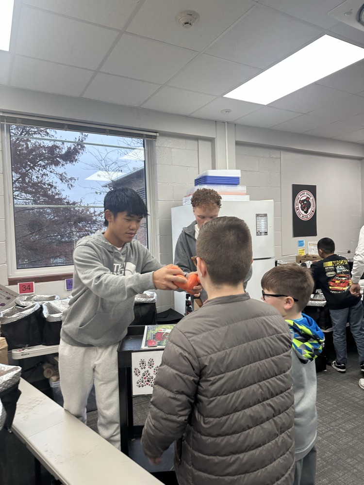 helping hands ambassadors