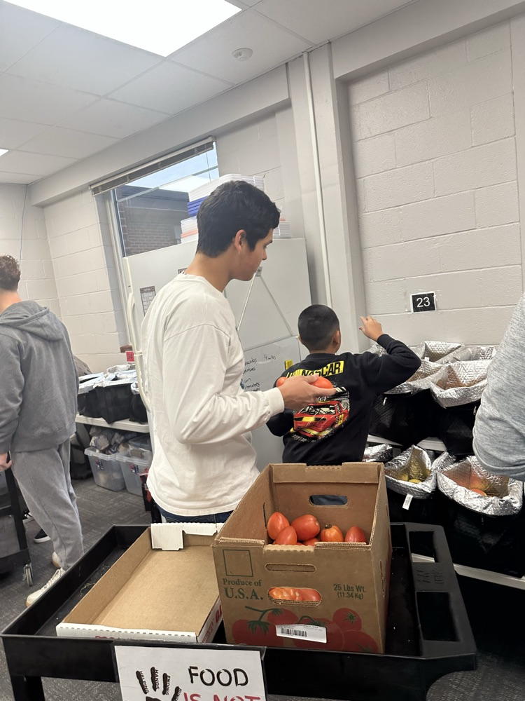 helping hands ambassadors