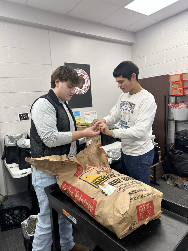 helping hands ambassadors