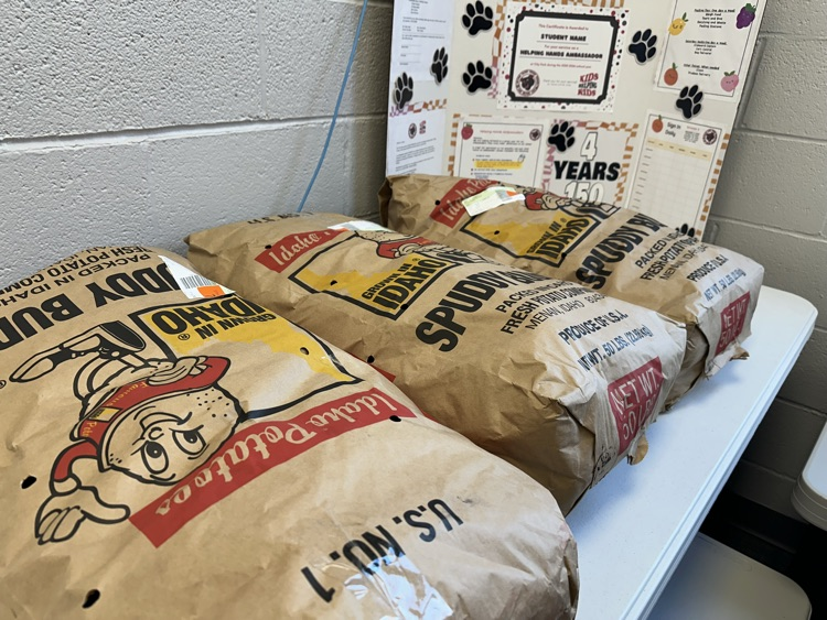 helping hands ambassadors