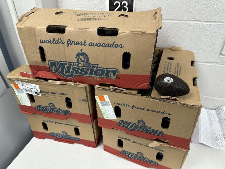 helping hands ambassadors