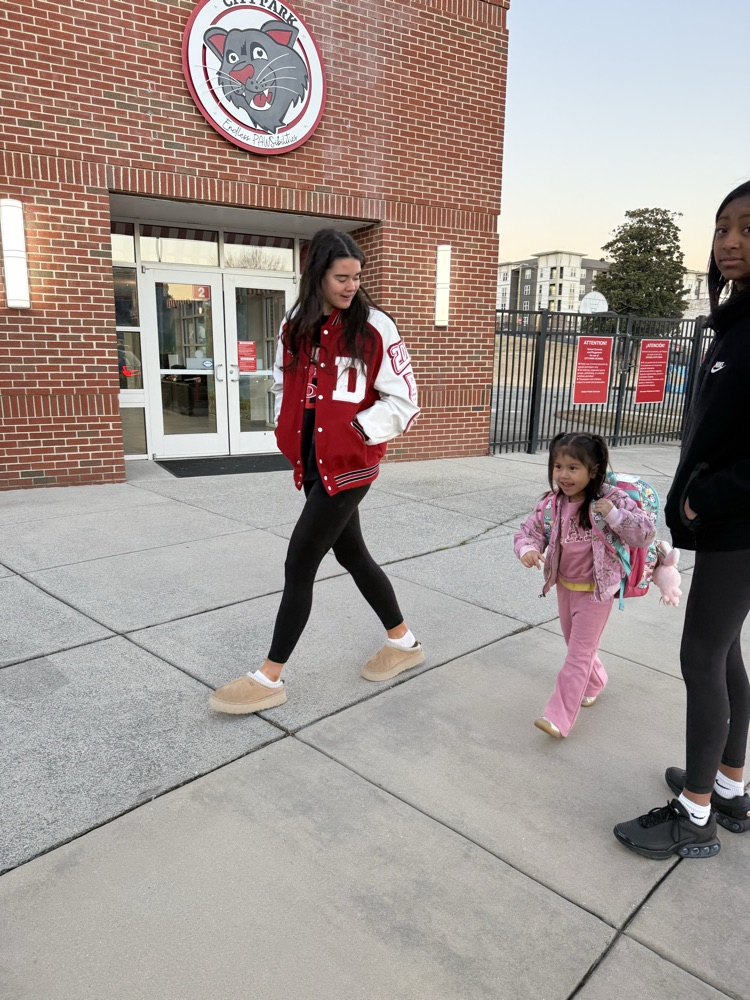 dHS girls basket ball team