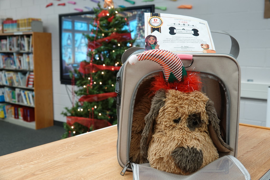 Amira Tutoring Winners!