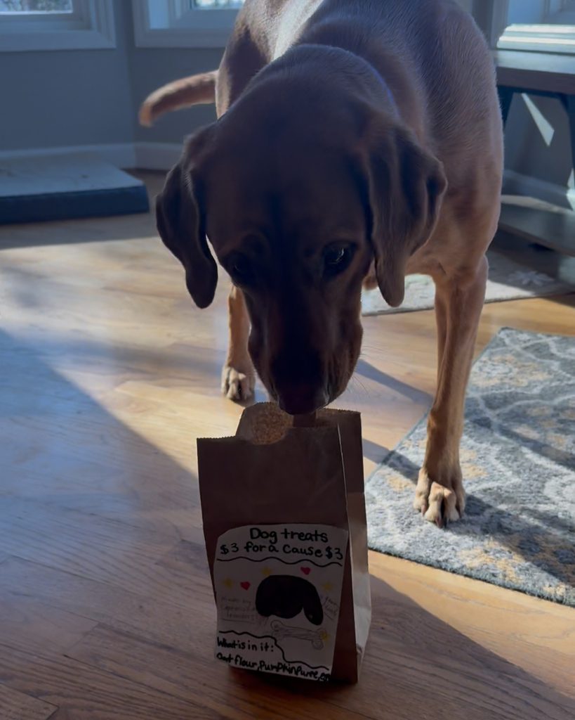 pups enjoying the doggie treats!