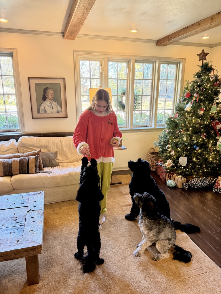 pups enjoying the doggie treats!