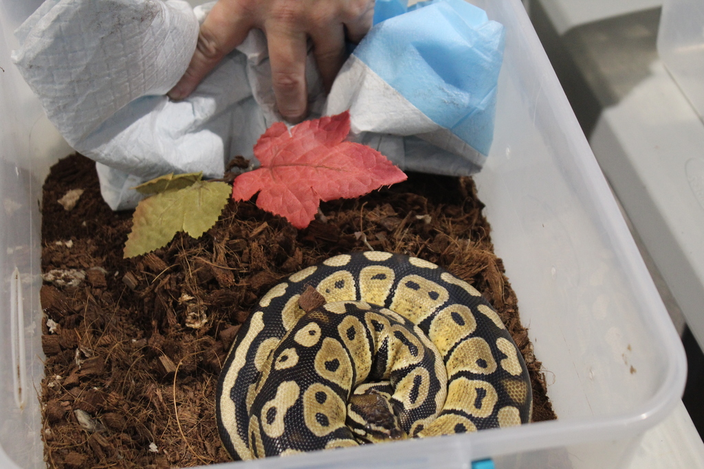 The Science Zone assembly 