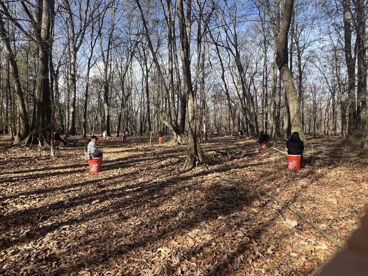 Dr. Smith’s class- nature observations and writing