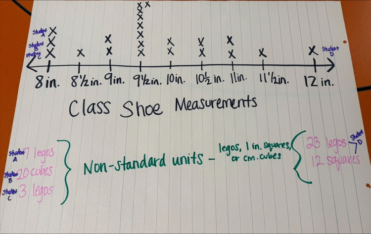 A picture of the chart with the class' measurements 