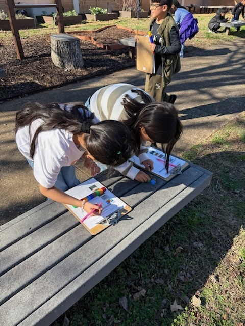 1st graders working outside