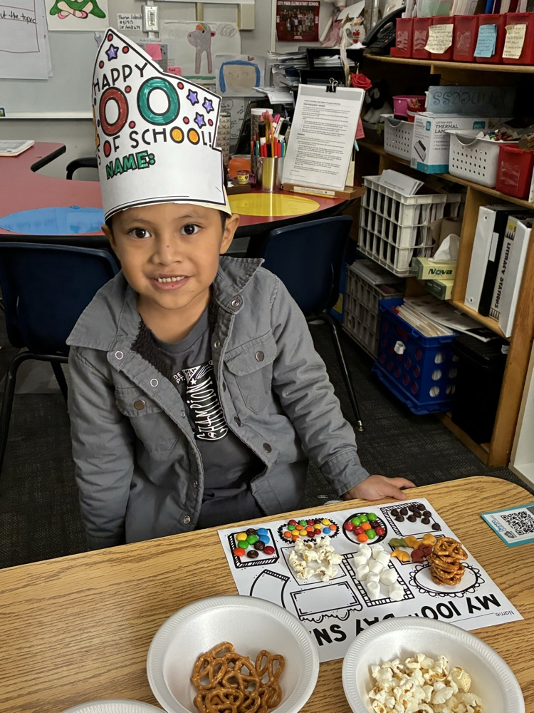 100th day photo 