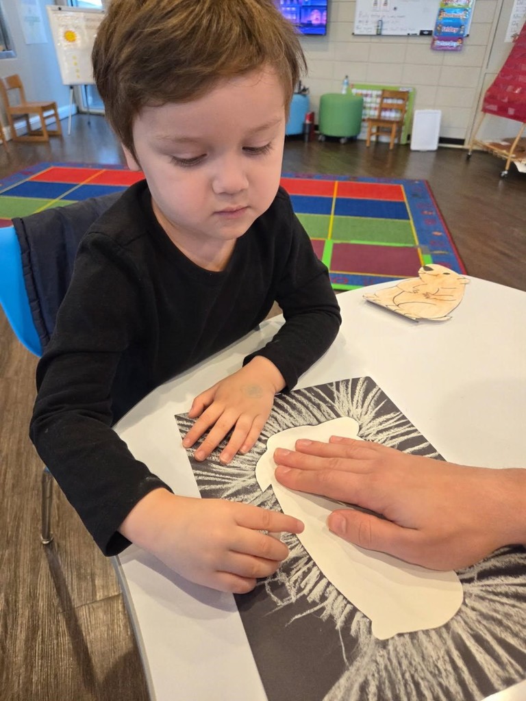Our Little Cats have been busy learning all about winter and the exciting changes the season brings! ❄️🐾 This week, students explored the tradition of Groundhog Day and discovered how groundhogs are said to predict the weather—will winter stick around for six more weeks, or is spring on the way? To build early literacy skills, students enjoyed The Grumpy Groundhog, a playful story about a groundhog who didn’t want to wake up from his long winter nap. The story sparked great conversations about seasonal changes and storytelling. During small-group STEM activities, our Little Cats became light and shadow investigators! They explored how sunlight creates shadows, observed weather conditions, and made predictions about whether the groundhog would see his shadow. Students worked together to chart results, compare votes, and build early science, math, and inquiry skills along the way. Hands-on learning made winter exploration extra fun this week! 🌤️📚🔬
