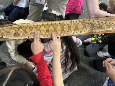 kindergarteners in class