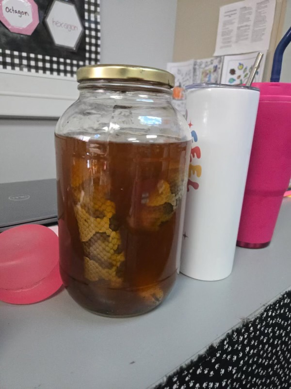 kindergarteners in class