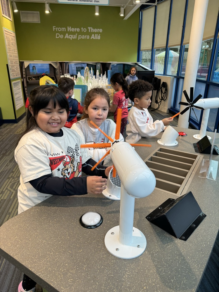Students playing in one of the exhibits 